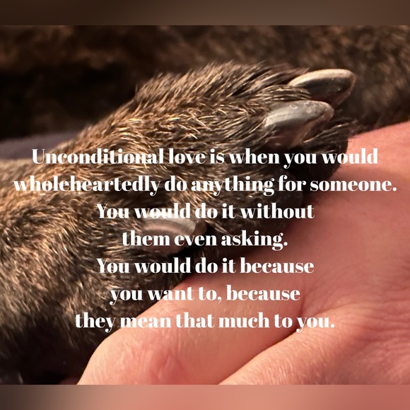 OCTOBER IS ADOPT A DOG 🐕 FROM A SHELTER MONTH THIS IMO SHOULD BE EVERY MONTH🐾 - Picture 3 of 3